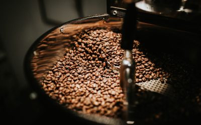 Segunda edición de CoffeeFest: La Fiesta del Café que Define una Cultura